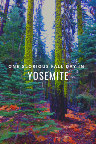 glorious day at yosemite, yosemite national park, national park, yosemite, bridal veil falls