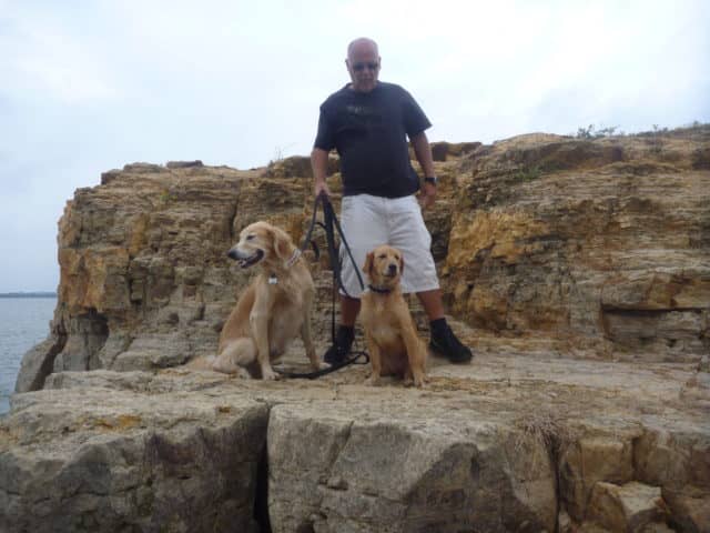 dog, dogs, mans best friend, unconditional love, empty nest dogs