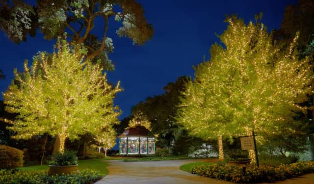 dallas arboretum, one million lights, one million lights for the holidays, 12 Days of Christmas, Dallas, Dallas Holidays