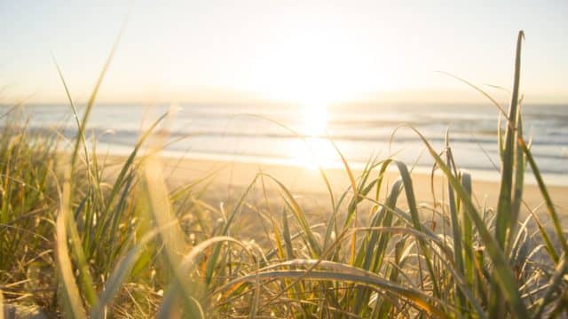 the coast with the most, east coast of Australia, journey up the coast, coast of Australia
