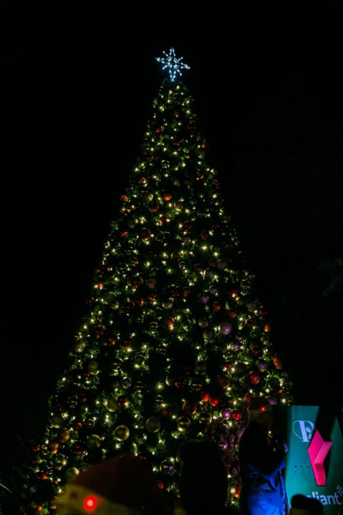 dallas arboretum, dallas, 12 days of christmas, Dallas Arboretum's 12 Days of Christmas