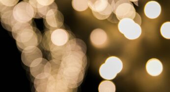 Gifts That Give Back: A Guide to Eco-Friendly and Thoughtful Holiday Gifts