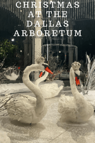 dallas arboretum, dallas, 12 days of christmas, Dallas Arboretum's 12 Days of Christmas