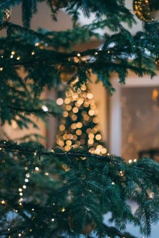 miami for christmas, rent a car in miami, car rental, renting a car in miami, rent a car miami, book a car rental, rent a car