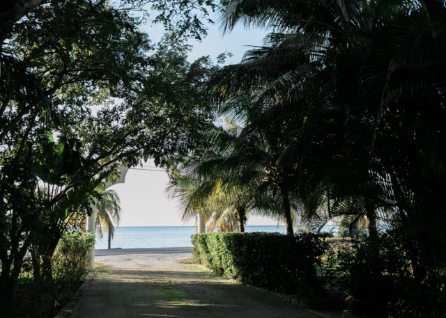villa coronado, cozumel, coronado, vacation home, travels with tam
