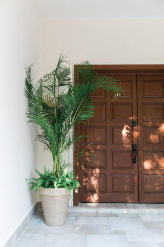 villa coronado, cozumel, coronado, vacation home, travels with tam