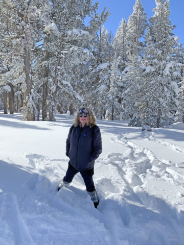 lake tahoe in winter, lake tahoe, heavenly ski resort, south lake tahoe, emerald bay, travels with tam