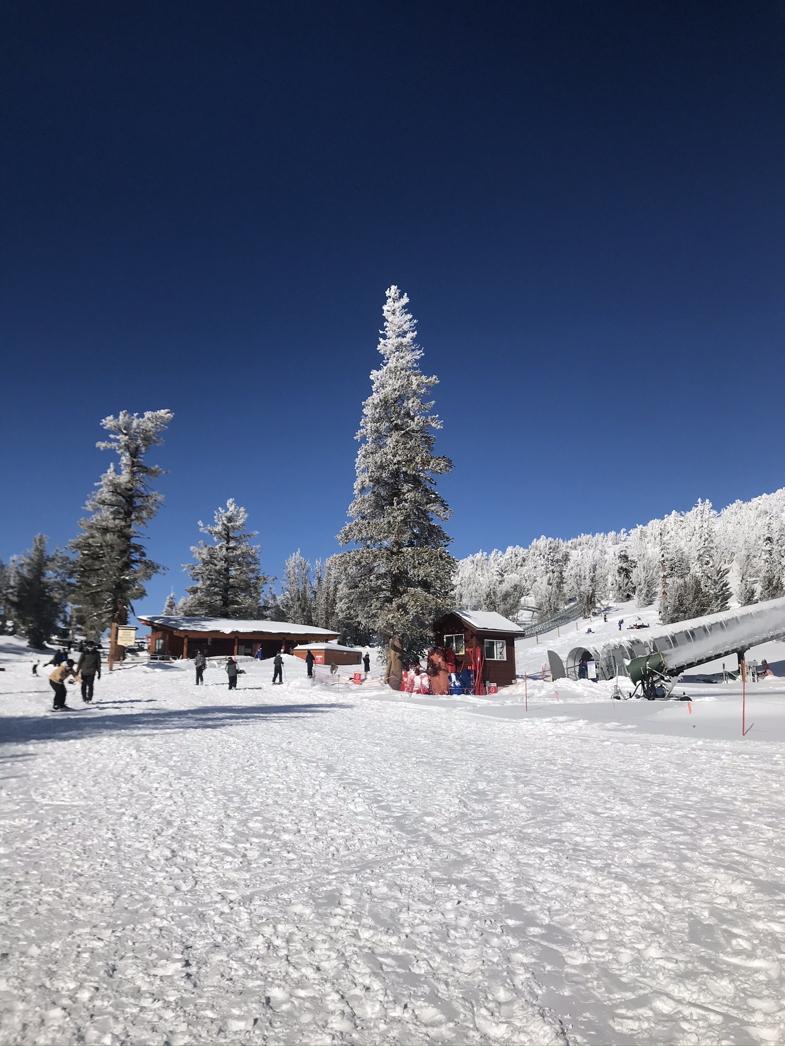 My Favorite Things to do in Lake Tahoe in Winter | TRAVELS WITH TAM