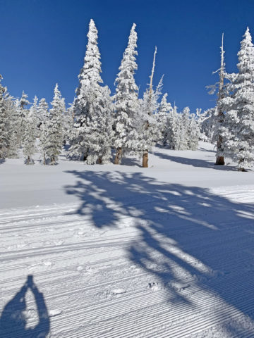 lake tahoe in winter, lake tahoe, heavenly ski resort, south lake tahoe, emerald bay, travels with tam