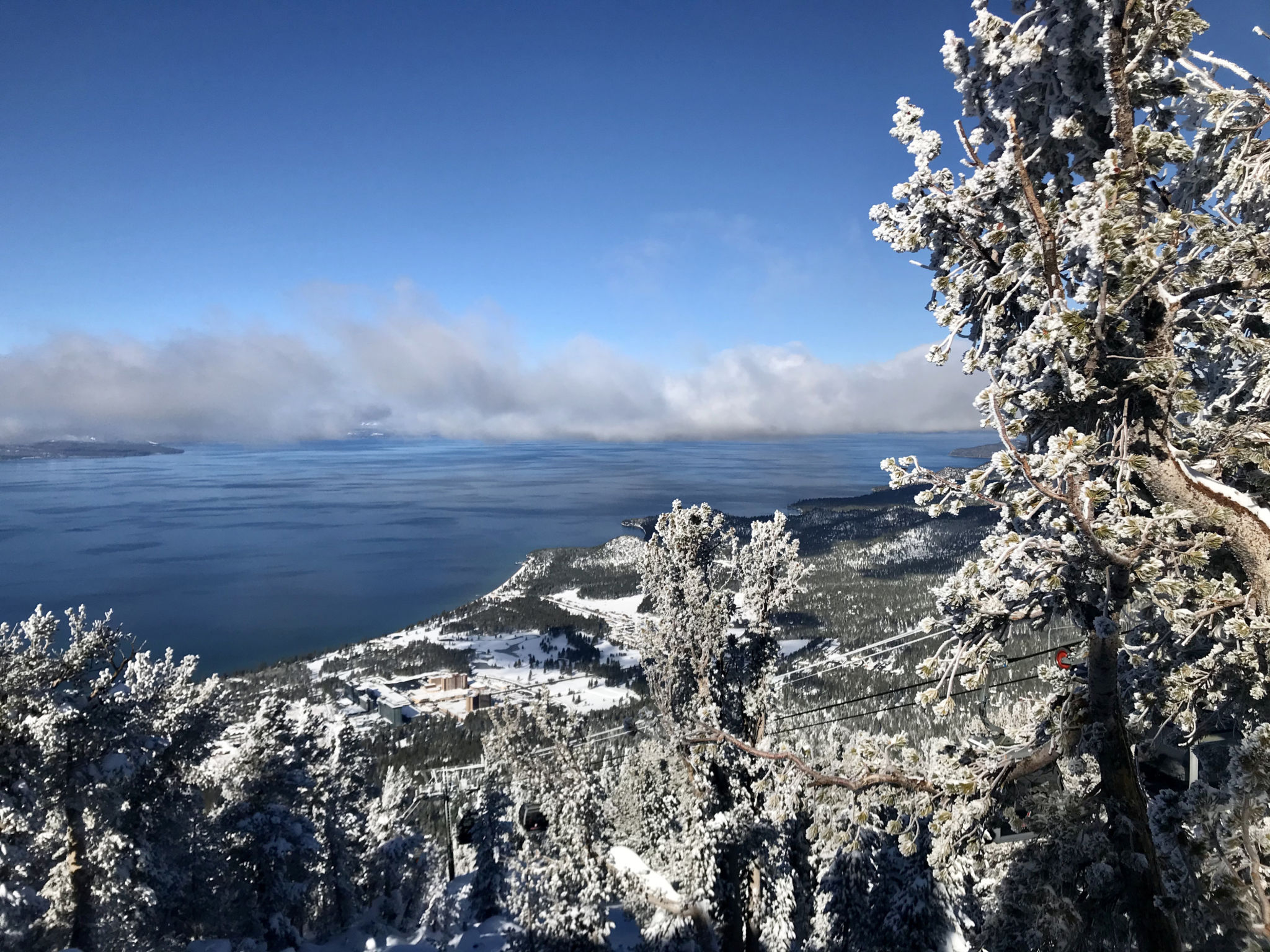 My Favorite Things to do in Lake Tahoe in Winter TRAVELS WITH TAM