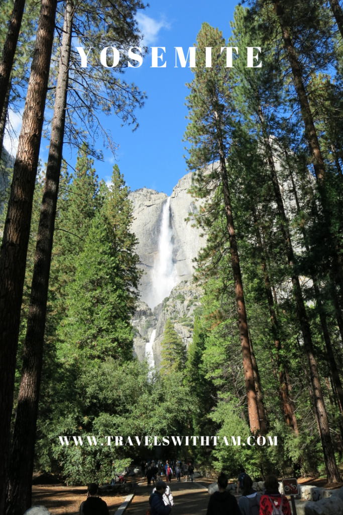future travels, plan future travels, shelter cove, yosemite