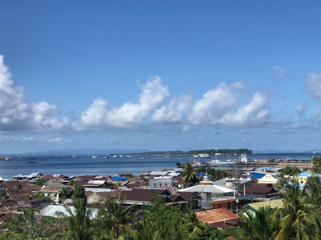 travel vicariously during the coronavirus, travel vicariously, trip to indonesia, raja ampat, coronavirus era