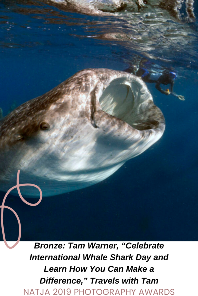 WHALE SHARK