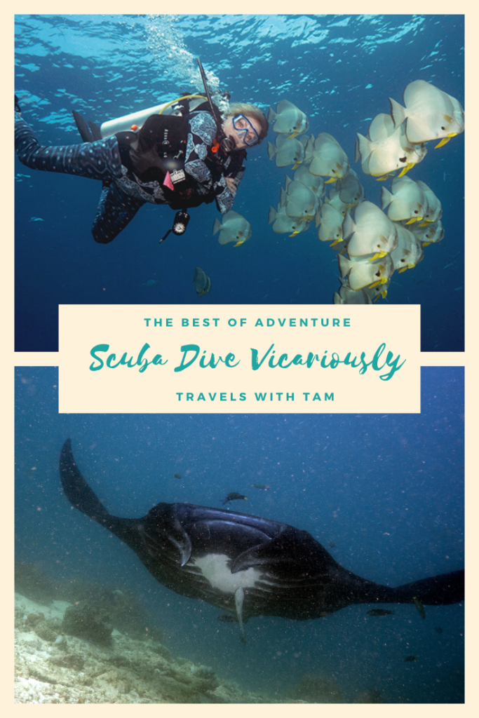 scuba dive, scuba dive vicariously, travel vicariously, manta rays