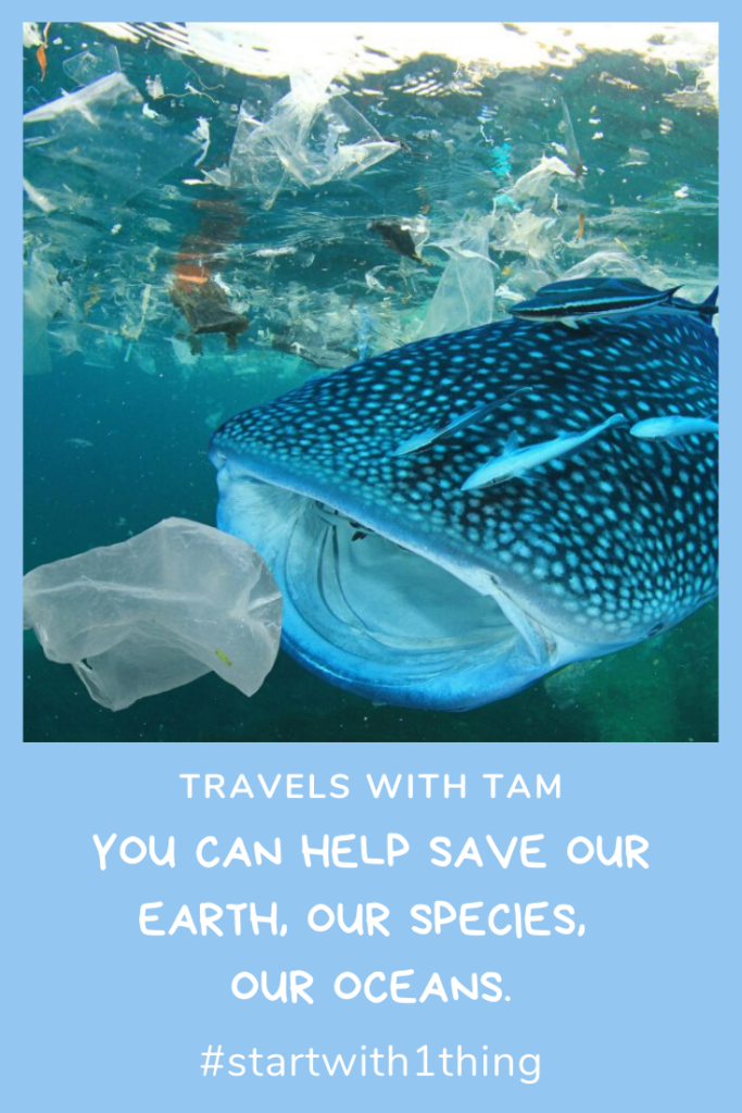 help our earth and oceans, earth and oceans, monterey bay