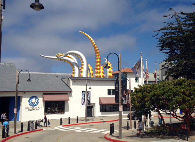 help our earth and oceans, earth and oceans, monterey bay