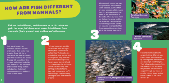 2nd edition of all fish faces, all fish faces, new 2nd edition, new 2nd edition all fish faces