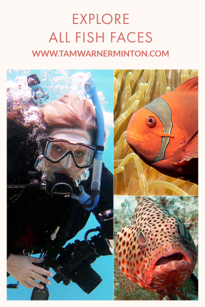 2nd edition of all fish faces, all fish faces, new 2nd edition, new 2nd edition all fish faces