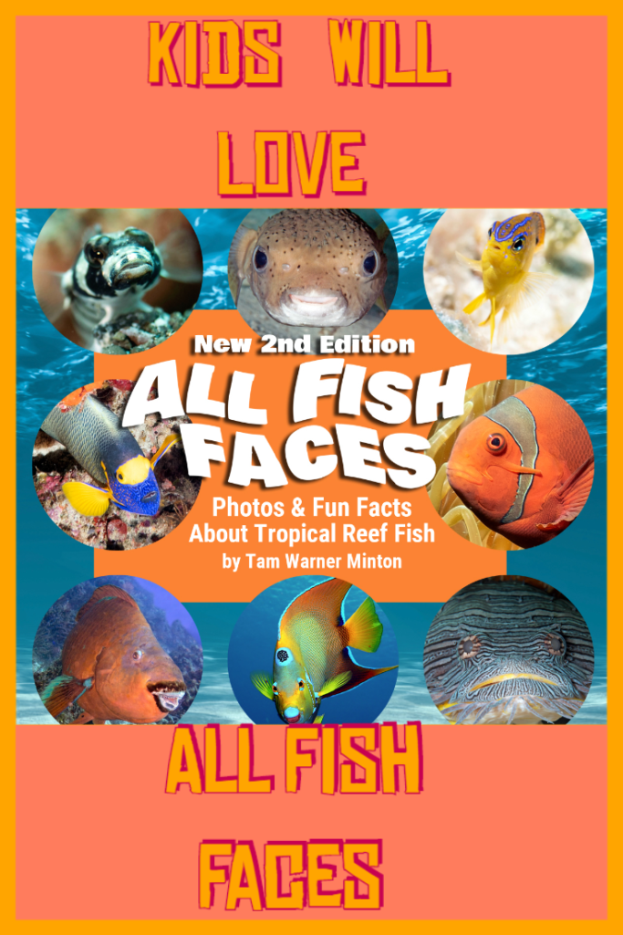 amazing oceans, 2nd edition of All Fish Faces, all fish faces, marine megafauna foundation