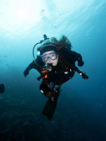 amazing oceans, 2nd edition of All Fish Faces, all fish faces, marine megafauna foundation