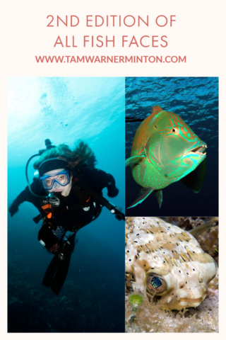 ocean friends, ocean, world oceans day, underwater wednesday, all fish faces