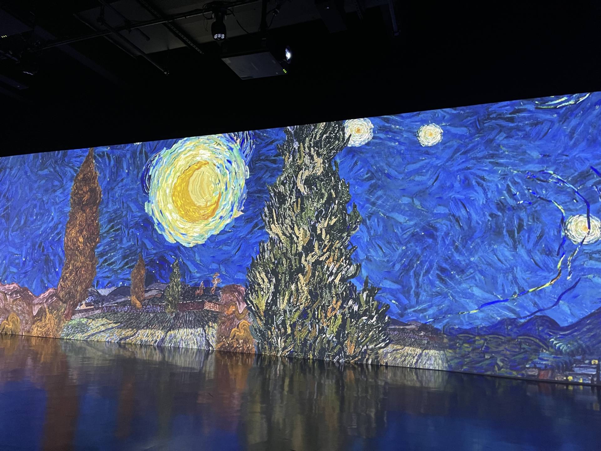 The Immersive Van Gogh Exhibit In Dallas Is An Amazing Experience 